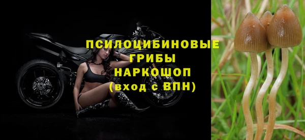 ALPHA PVP Аркадак