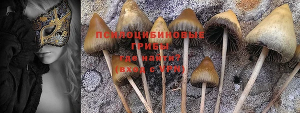 амф Алексеевка