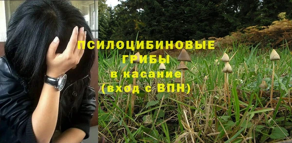 амф Алексеевка
