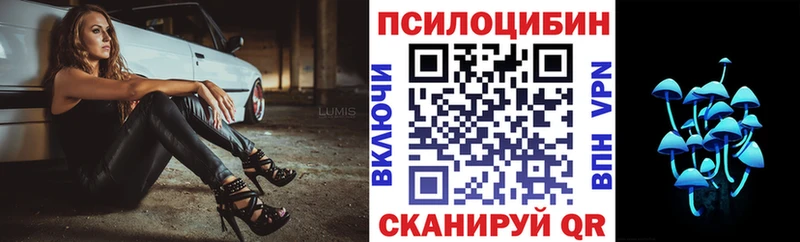 продажа наркотиков  Новошахтинск  Галлюциногенные грибы GOLDEN TEACHER 